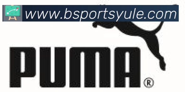 Bsports官网合作伙伴
