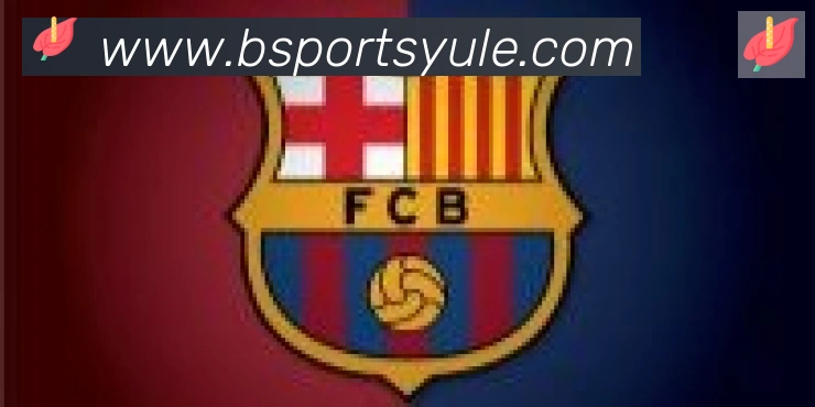 Bsports官网合作伙伴